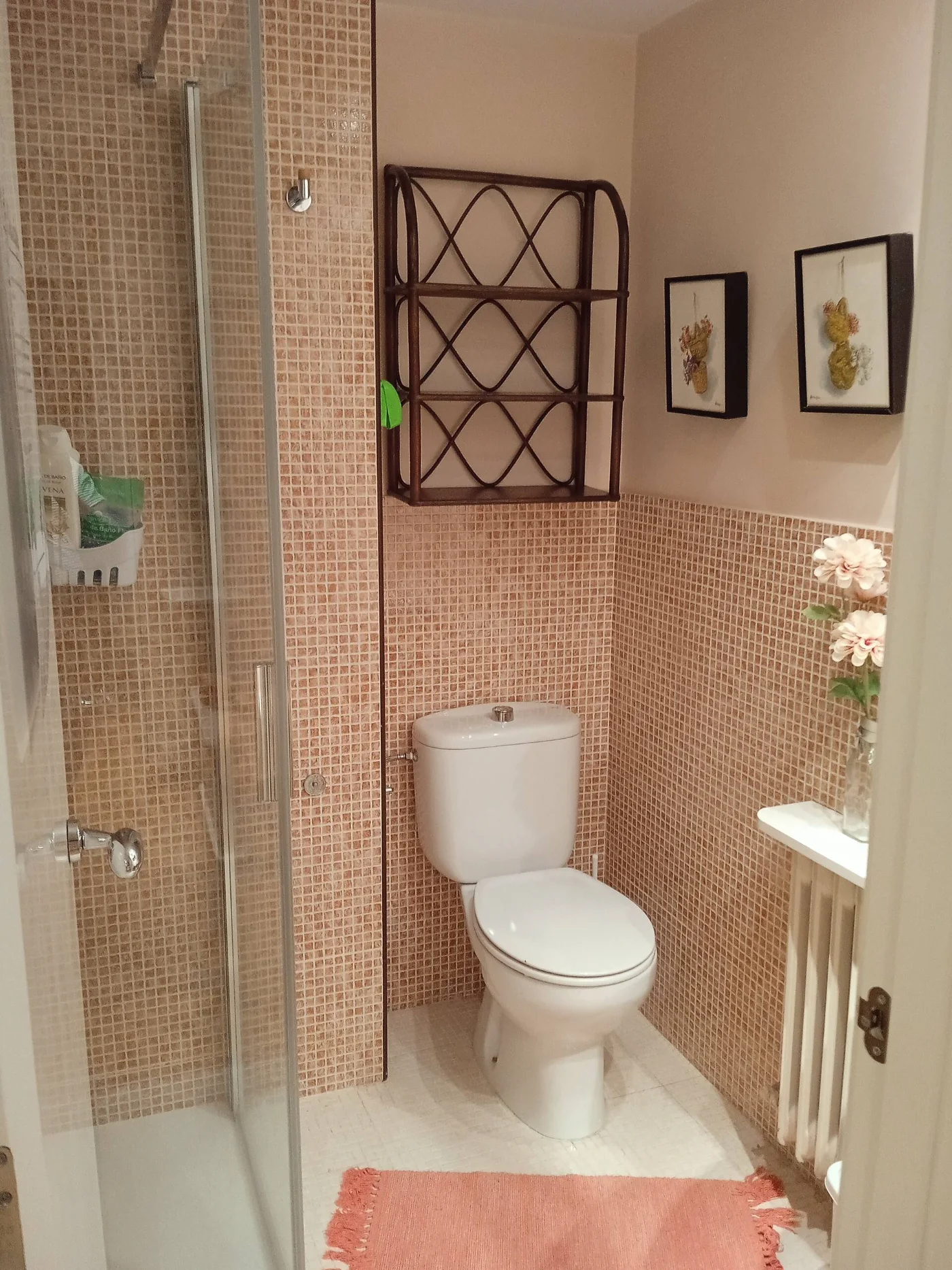 Baño privado con ducha